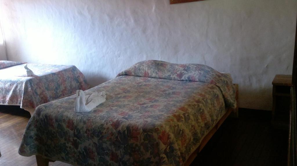 Hostel Villa Verde Monteverde Zewnętrze zdjęcie