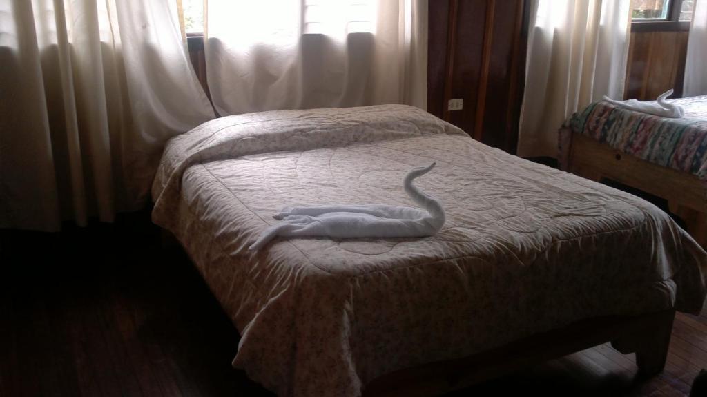 Hostel Villa Verde Monteverde Zewnętrze zdjęcie