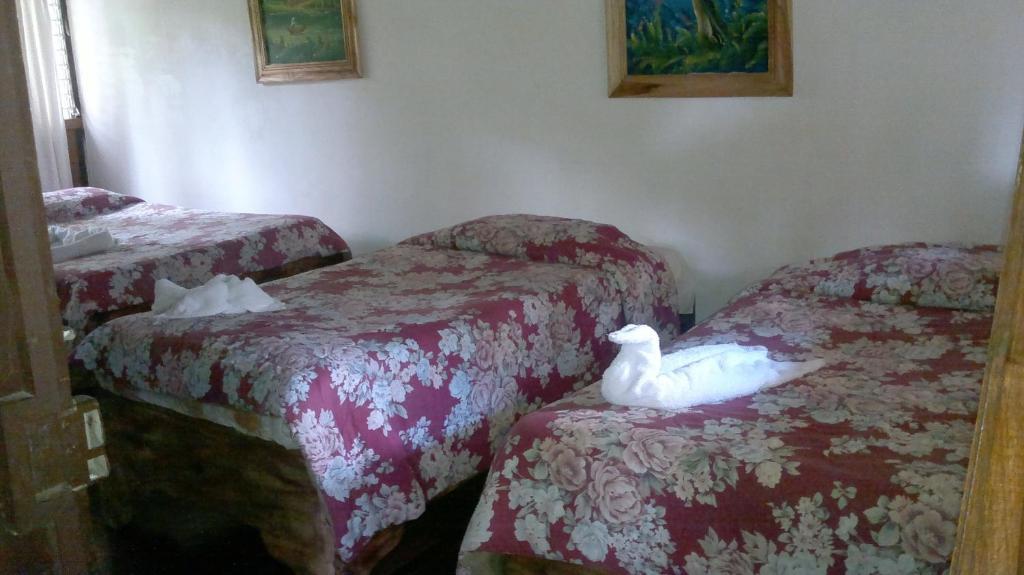 Hostel Villa Verde Monteverde Zewnętrze zdjęcie