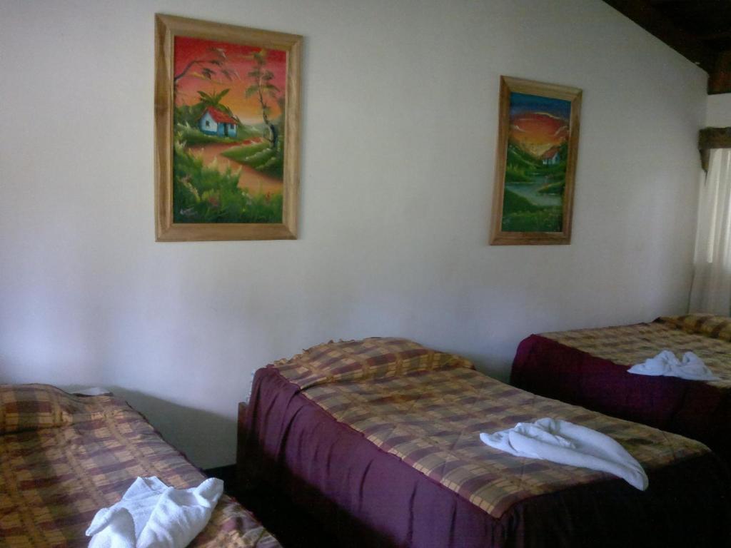 Hostel Villa Verde Monteverde Zewnętrze zdjęcie