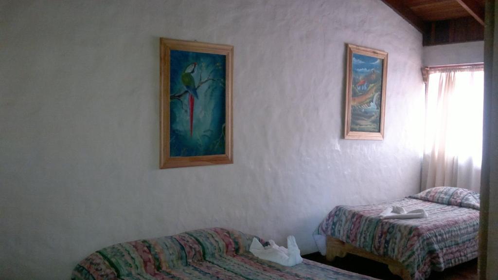 Hostel Villa Verde Monteverde Zewnętrze zdjęcie