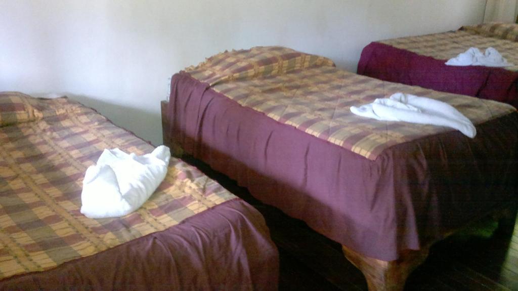 Hostel Villa Verde Monteverde Zewnętrze zdjęcie
